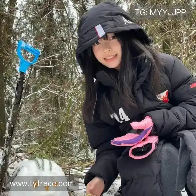 怀献义